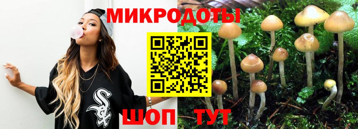 Псилоцибиновые грибы Cubensis Куйбышев